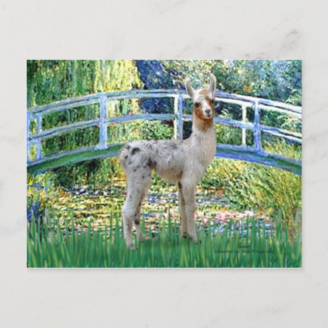 Lily Pond Bridge - Baby Llama Vykort (Framsida)