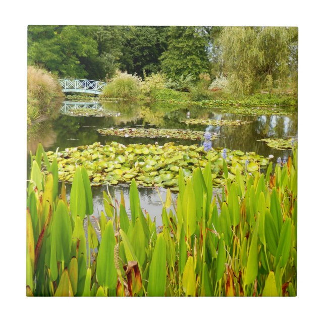Lily Pond Ceramic Tile Kakelplatta (Framsidan)