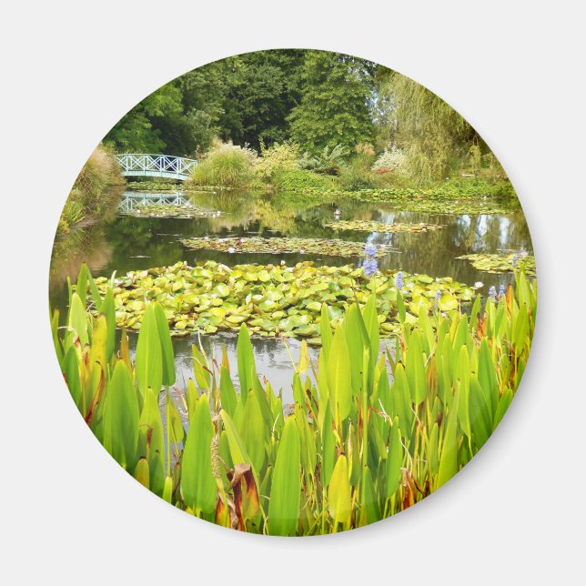 Lily Pond Magnet (Framsidan)