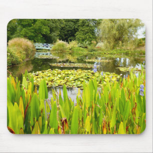 Lily Pond Musmatta