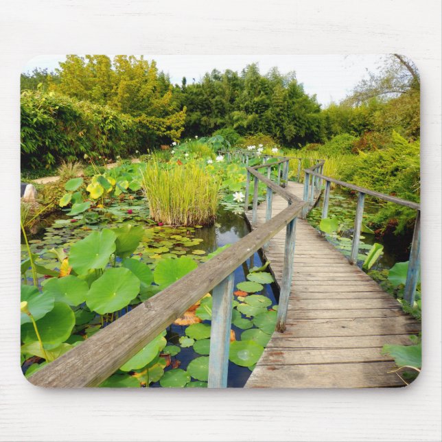 Lily Pond Musmatta (Framsidan)