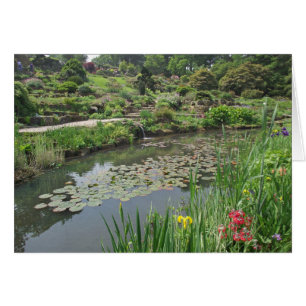 Lily Pond på RHS Wisley Hälsningskort