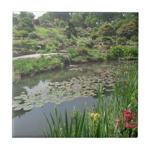 Lily Pond på RHS Wisley Kakelplatta