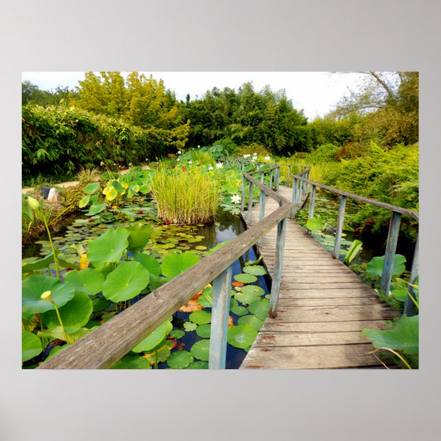 Lily Pond Poster (Framsidan)