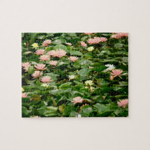 Lily Pond Pussel