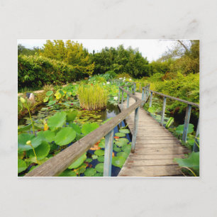 Lily Pond-vykort Vykort