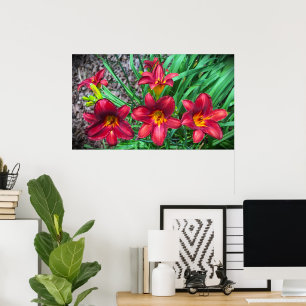 Lily. Poster