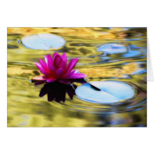 Lily Ripples - Vatten Lily Hälsningskort