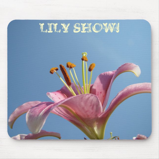 LILY SHOW! musmattor Rosa Calla Lily Blommor (Framsidan)