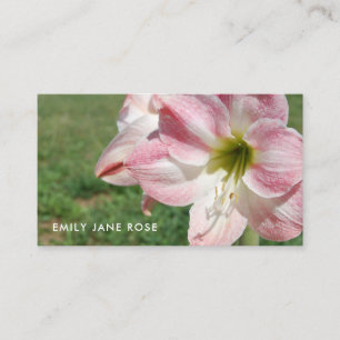 Lily 'Stargazer', Oriental lilies, Floristry Visitkort