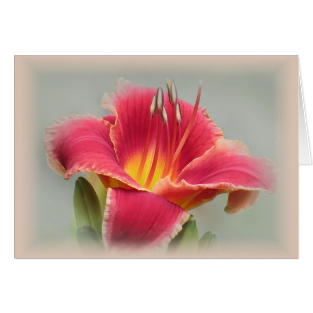 Lily State of Mind - Daylily Hälsningskort (Framsidan Horizontal)