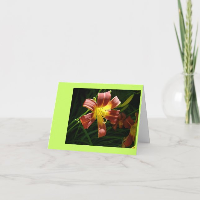 Lily Tack Kort (Framsida)