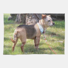 Lily Towel Kökshandduk