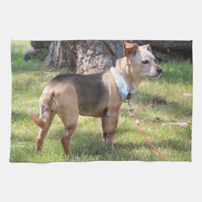 Lily Towel Kökshandduk (Horisontell)