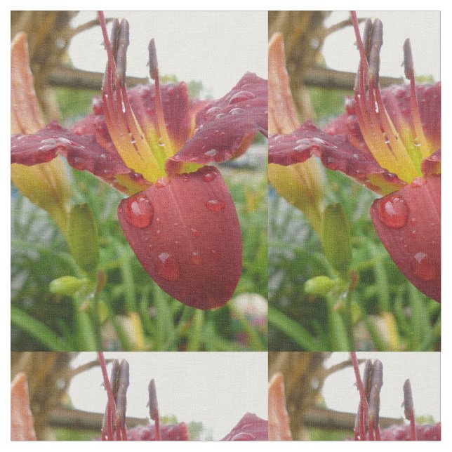 Lily Tyg (Närbild)