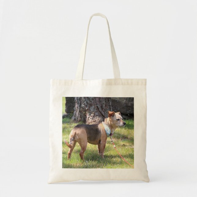 Lily Tygkasse (Framsidan)