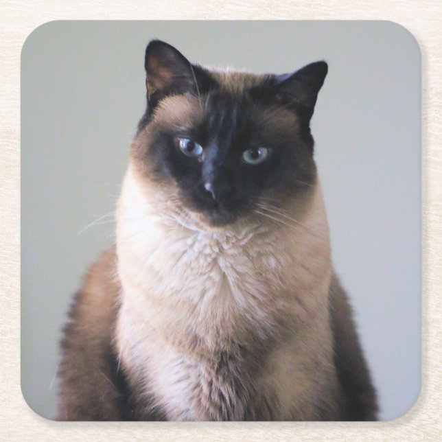 Lily Underlägg Papper Kvadrat (Framsidan)