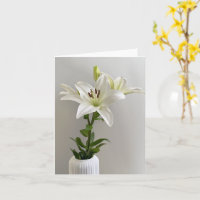 Lily Vaggvisa | Enkel vit blomsterkonst