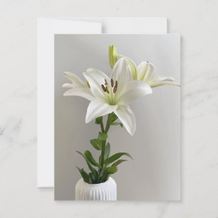 Lily Vaggvisa Enkel vit blomsterkonst Vykort