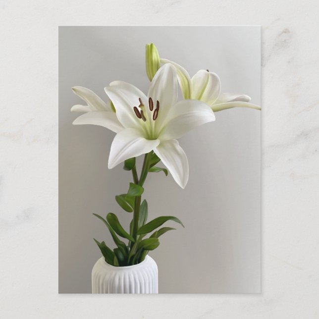 Lily Vaggvisa | Enkel vit blomsterkonst Vykort (Framsida)