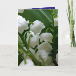 Lily Vita Blommor Fred Kontor Kärlek Öde Kort