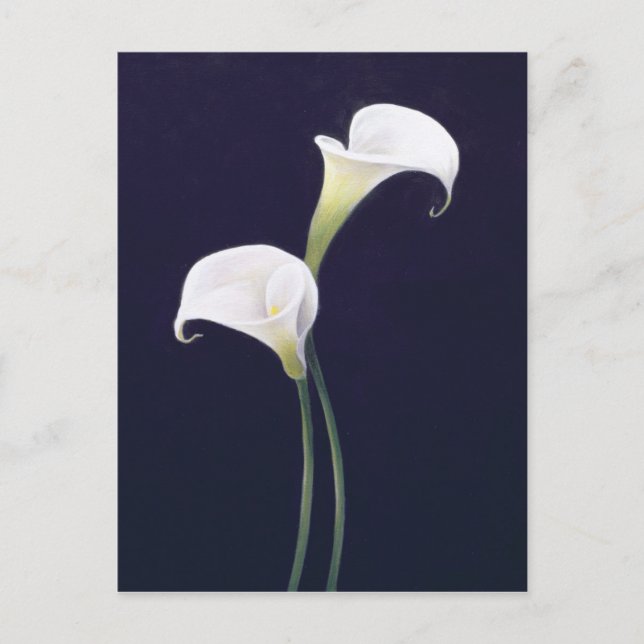 Lily Vykort (Framsida)