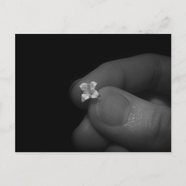 Lily Vykort (Framsida)