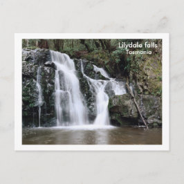 Lilydale fall, Tasmania Vykort