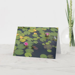 Lilypad dammålning kort