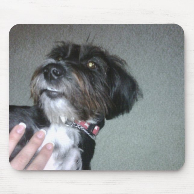 Lilypad Musmatta (Framsidan)