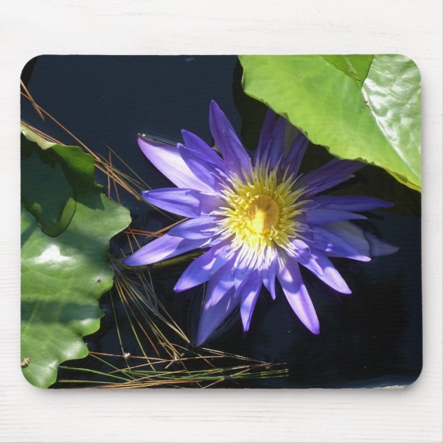 lilypad musmatta (Framsidan)