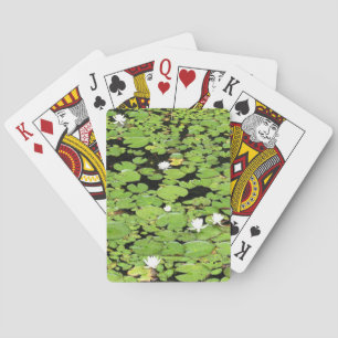 Lilypad pond casinokort
