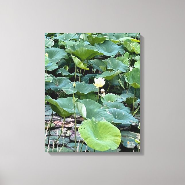Lilyshade Silence 16 x 20 Canvastryck (Framsida)