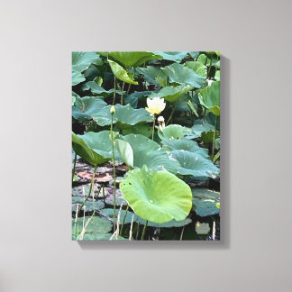 Lilyshade Tystnad 11 x 14 Canvastryck