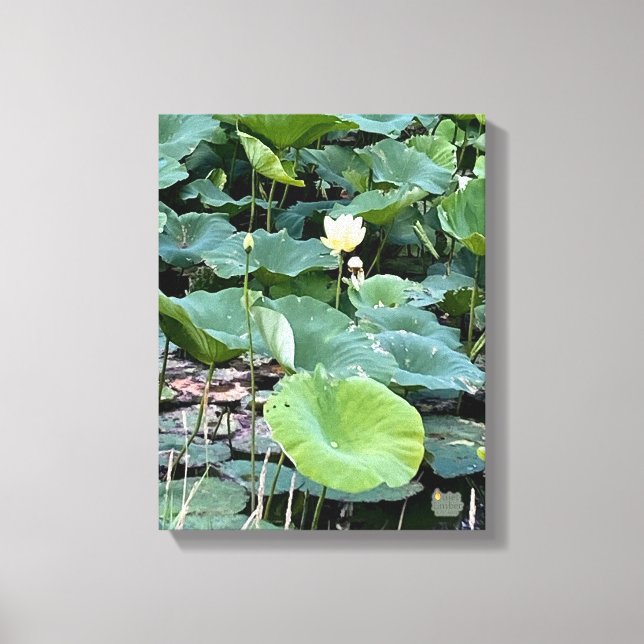 Lilyshade Tystnad 11 x 14 Canvastryck (Framsida)