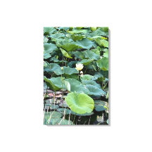 Lilyshade Tystnad 20 x 30