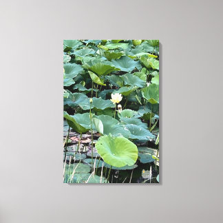 Lilyshade Tystnad 20 x 30 Canvastryck