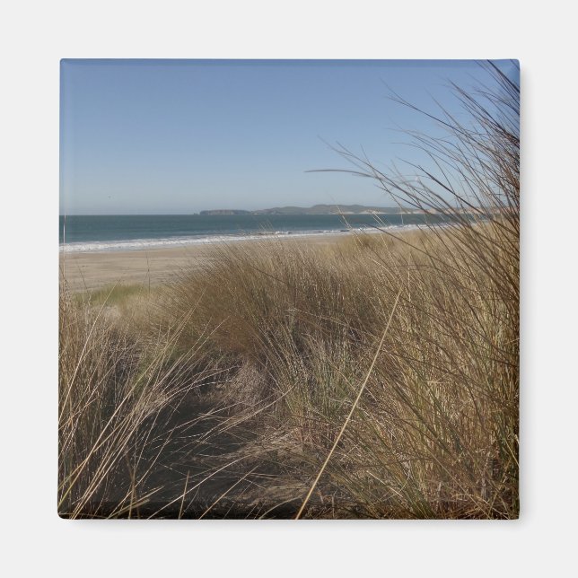 Limantour Beach at Point Reyes National Seashore I Magnet (Framsidan)