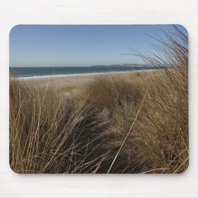 Limantour Beach at Point Reyes National Seashore I Musmatta (Framsidan)