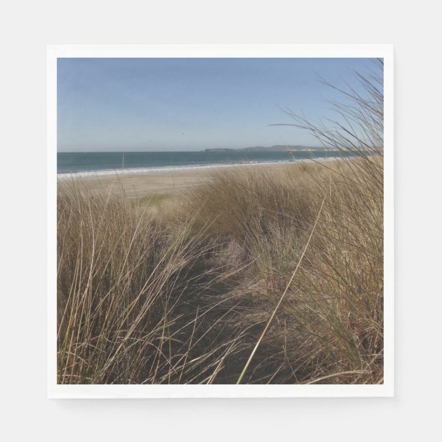 Limantour Beach at Point Reyes National Seashore I Pappersservett (Framsidan)