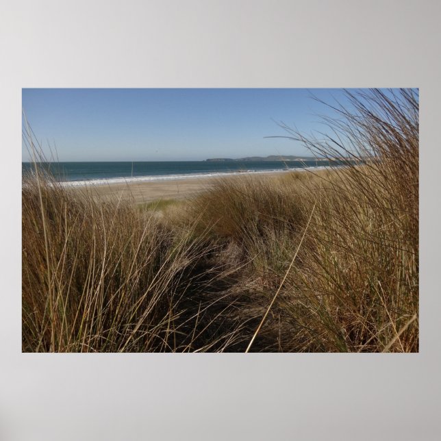 Limantour Beach at Point Reyes National Seashore I Poster (Framsidan)