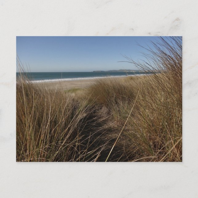 Limantour Beach at Point Reyes National Seashore I Vykort (Framsida)