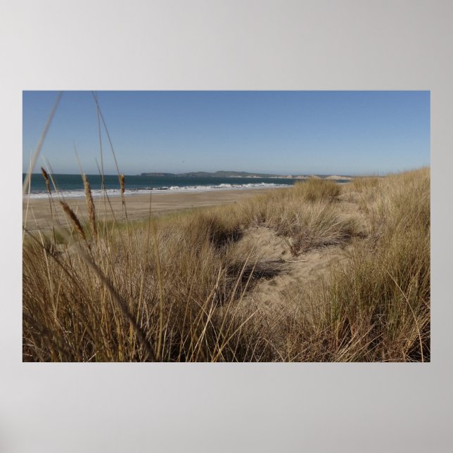 Limantour Beach vid Point Reyes II Poster (Framsidan)