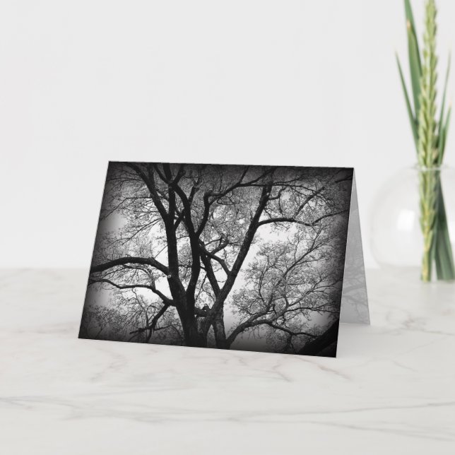 Limbsna av naturen kort (Framsida)