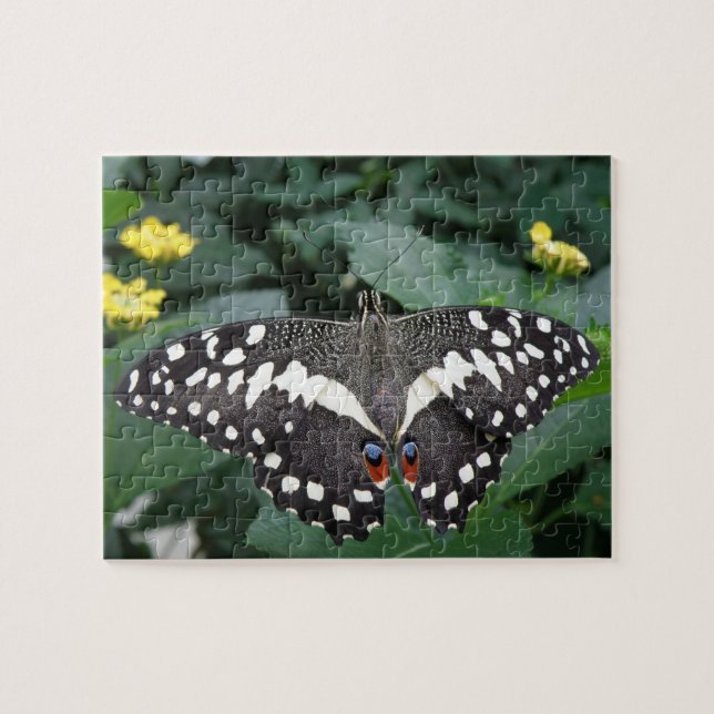 Lime Butterfly and Flowers Puzzle Pussel (Horisontell)