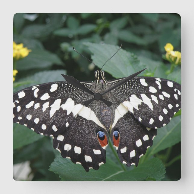 Lime Butterfly and Flowers Wall Clock Fyrkantig Klocka (Framsida)