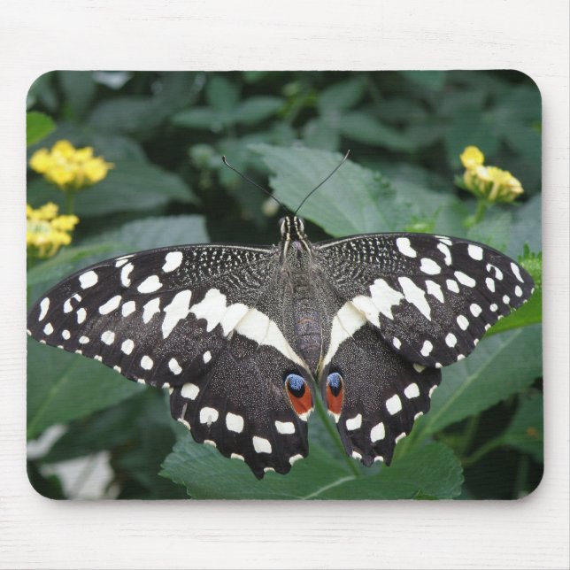 Lime Butterfly och blommor Mousepad Musmatta (Framsidan)