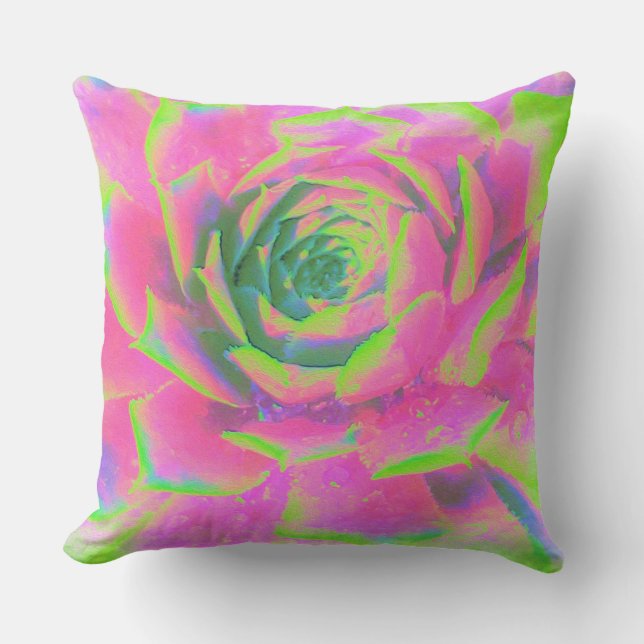 Lime Green och Rosa Succulent Sedum Rosette Kudde (Framsida)