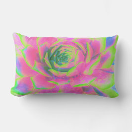 Lime Green och Rosa Succulent Sedum Rosette Lumbarkudde