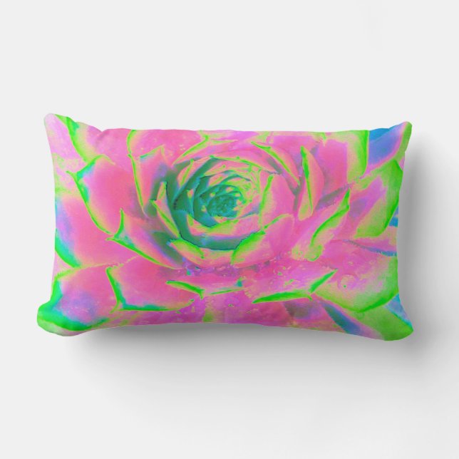 Lime Green och Rosa Succulent Sedum Rosette Lumbarkudde (Framsida)